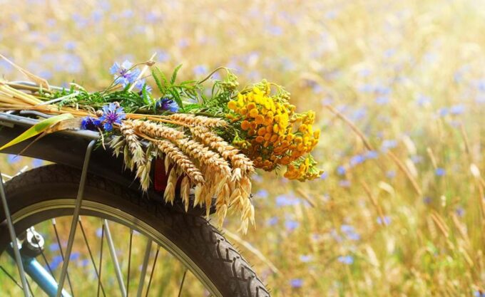 From Siena: Chianti Electric Bike Tour - Additional Information