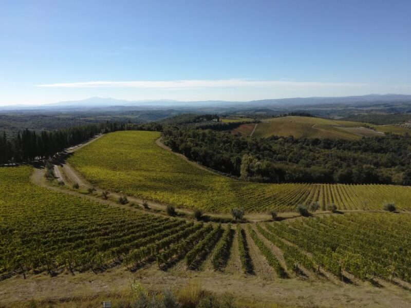 From Siena: Chianti Wine Tour With Lunch - Key Points