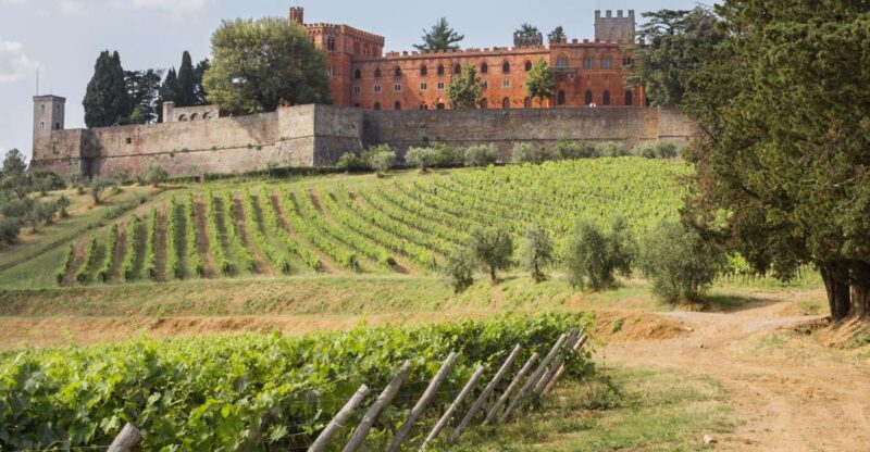 From Siena: Chianti Wine Tour With Lunch - Itinerary Details