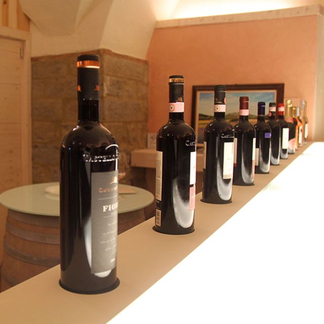 From Siena: Chianti Wine Tour With Lunch - Transportation and Logistics