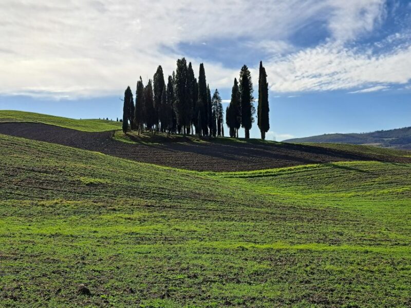 From Siena: Pienza and Montepulciano Small-Group Tour - Participant Feedback