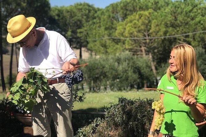 From Siena: Pienza and Montepulciano Wine Tour - Discovering Pienza