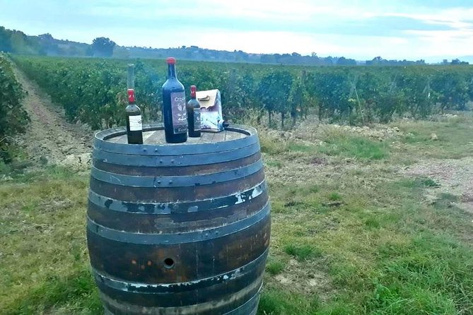 From Siena: Pienza and Montepulciano Wine Tour - Exploring Palazzo Piccolomini