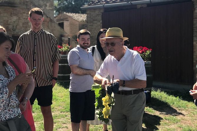 From Siena: Pienza and Montepulciano Wine Tour - Touring Il Duomo Di Pienza
