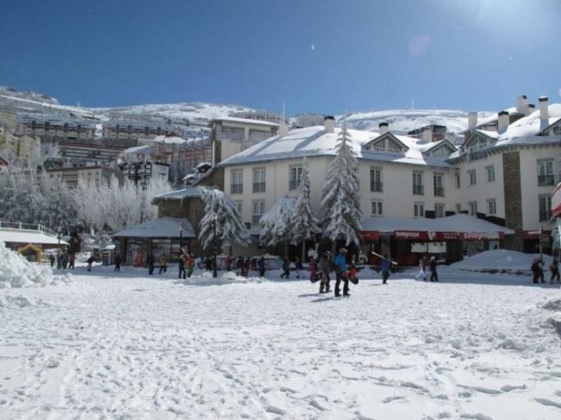 From Sierra Nevada ; Private Transfer to Granada City - Diverse Ecosystem and Wildlife