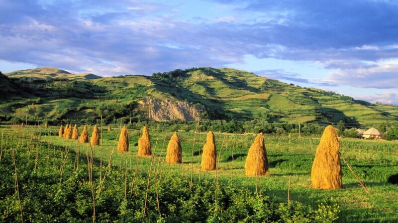 From Sighetu Marmatiei: Maramures and Barsana Monastery Tour - Key Points