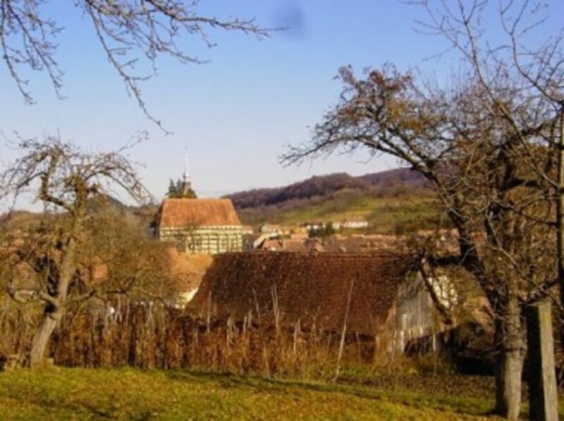 From Sighisoara: Half-Day Tour to Malancrav & Biertan - Destinations