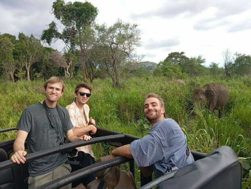 From Sigiriya: Minneriya National Park Half-Day Jeep Safari - Key Points