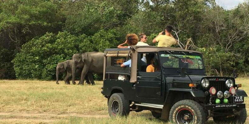 From Sigiriya: Polonnaruwa Ancient City & Minneriya Safari - Who Will Enjoy This Tour?