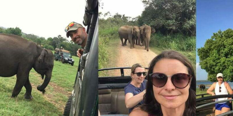 From Sigiriya: Polonnaruwa Ancient City & Minneriya Safari - The Sum Up