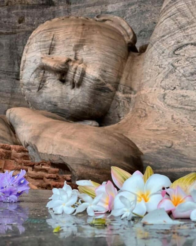 From Sigiriya: Polonnaruwa Day Tour with Minneriya Safari - An In-Depth Look at the Tour