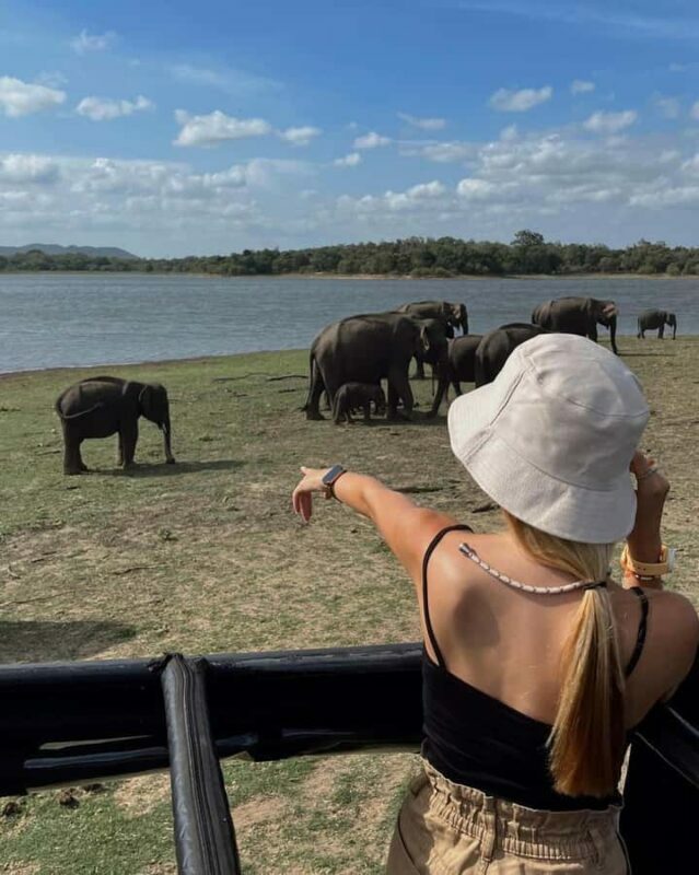 From Sigiriya: Polonnaruwa Day Tour with Minneriya Safari - FAQ