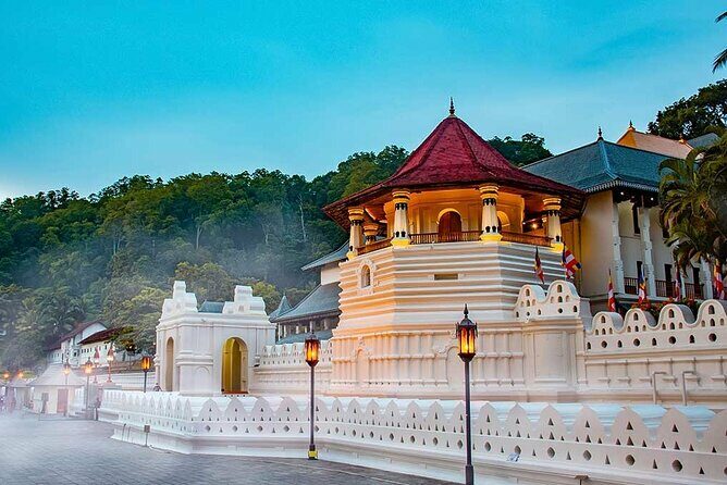 From Sigiriya to Kandy Transfer by Private Comfortable Car - The Experience: A Clear View Into the Journey