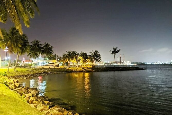 From Singapore: Private Malaysia Express Night Tour + Massage - Tour Overview and Highlights