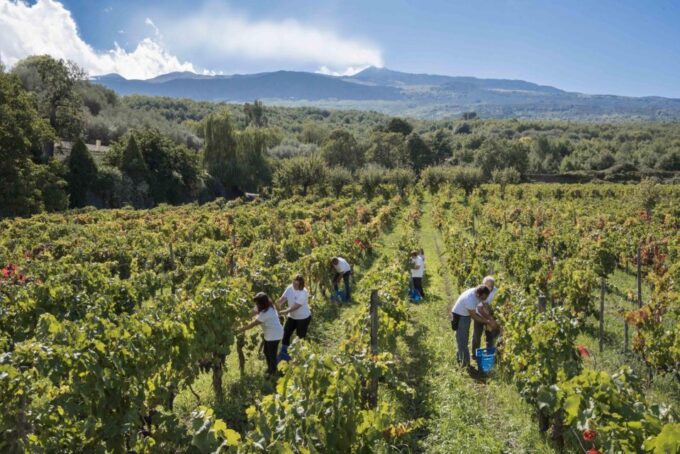 From Siracusa Day Tour To Etna Volcano, Winery and Taormina - Tour Duration and Guide