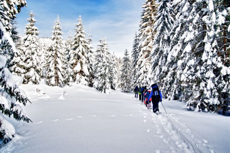 From Sirkka: Levi Summit Guided Nature Snowshoeing Tour - Tour Overview