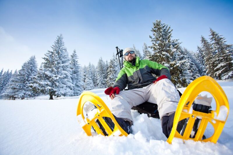 From Sirkka: Levi Summit Guided Nature Snowshoeing Tour - Levi Summit Panorama