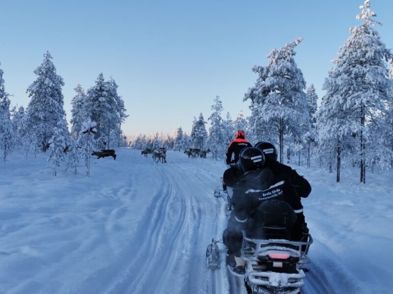 From Sirkka: Snow Village Guided Snowmobile Expedition - Exploring the Snow Village
