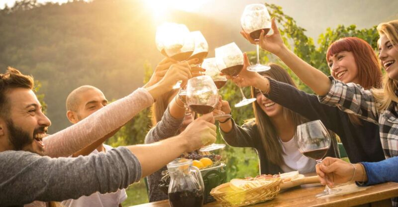From Sirmione: Lugana Wine Tour - Inclusions