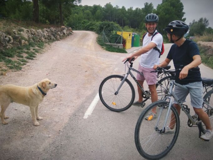 From Sitges: Cycling Tour With Winery Visit and Tasting - Delightful Regional Flavors