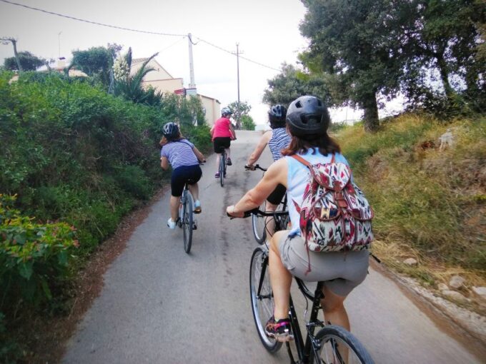 From Sitges: Cycling Tour With Winery Visit and Tasting - Panoramic Vineyard and Mountain Views