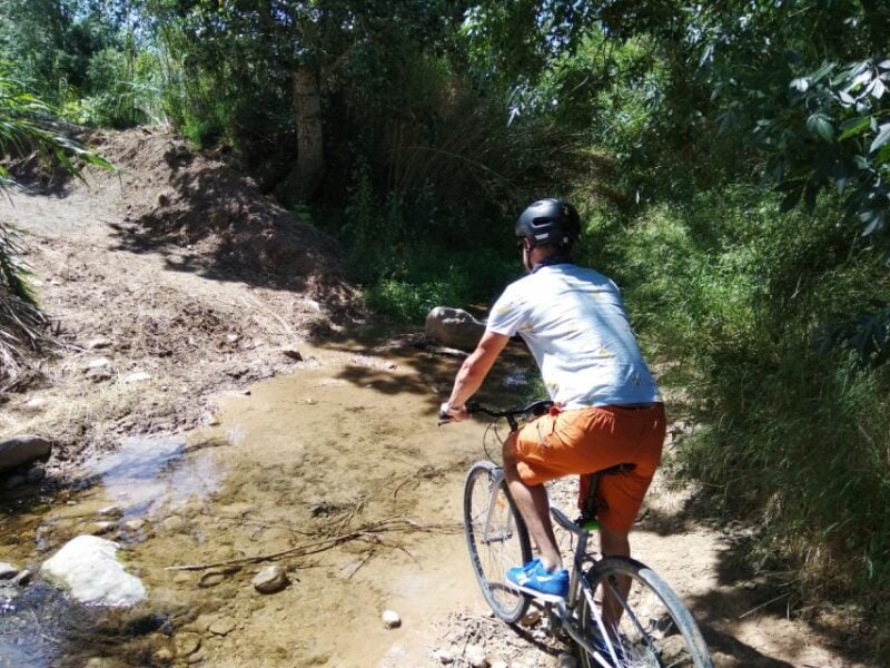 From Sitges: Paella Masterclass With Drink and Bike Ride - Flexible and Enjoyable