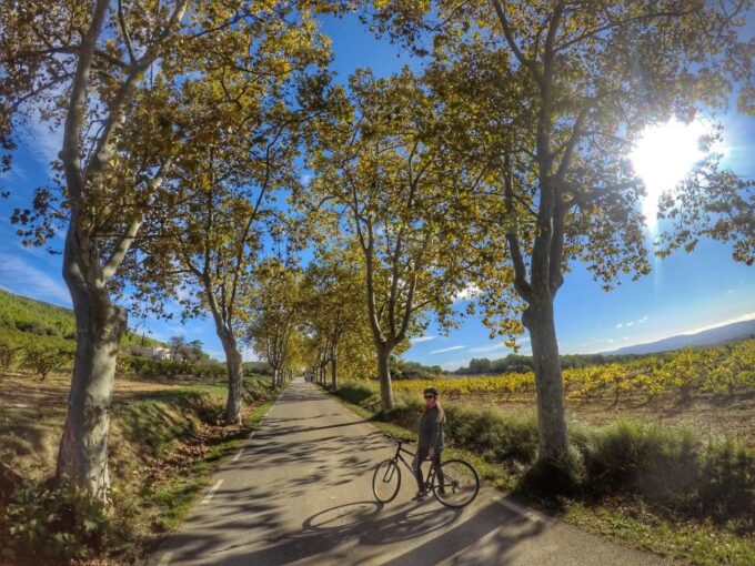 From Sitges: Paella Masterclass With Drink and Bike Ride - Frequently Asked Questions
