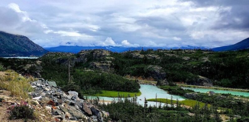 From Skagway: Skagway City & White Pass Summit Guided Tour - Experience Details