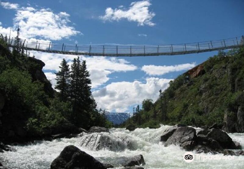 From Skagway: White Pass and Yukon Suspension Bridge Tour - Tour Highlights and Experience
