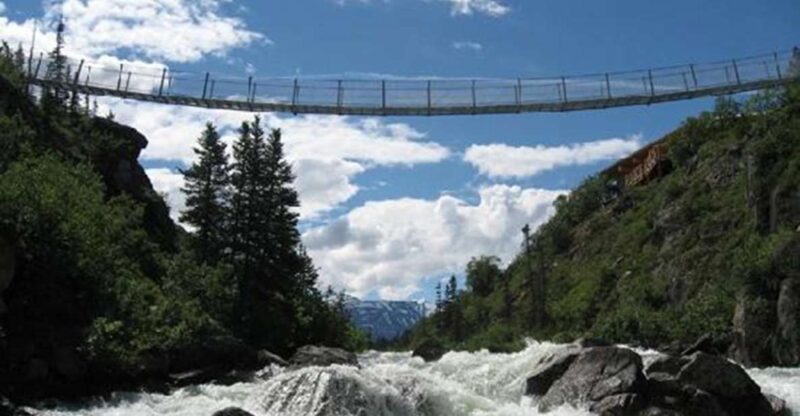 From Skagway: White Pass and Yukon Suspension Bridge Tour - Itinerary Details
