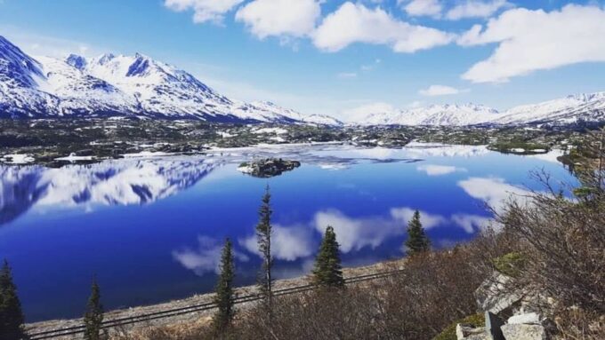 From Skagway: White Pass and Yukon Suspension Bridge Tour - Experiencing the Yukon Suspension Bridge