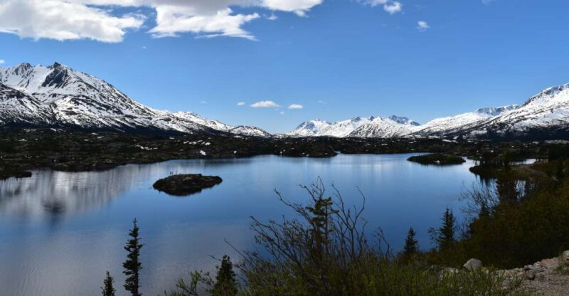 From Skagway: White Pass Summit Guided Bus Tour - Key Points