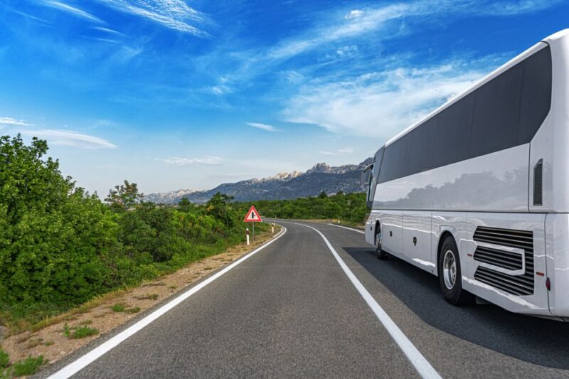 From Skagway: White Pass Summit Guided Bus Tour - Itinerary Highlights