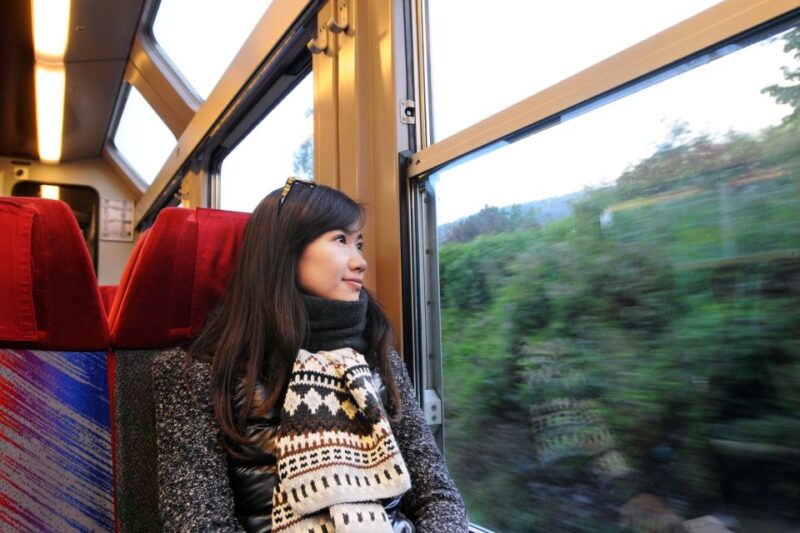 From Skagway: White Pass Summit Guided Bus Tour - Cancellation and Payment