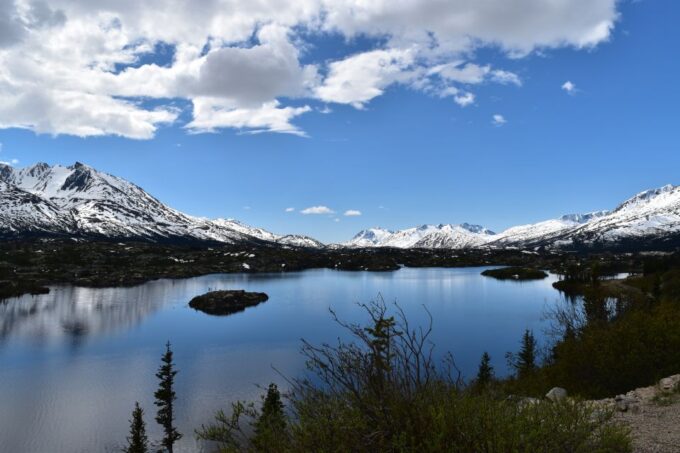 From Skagway: White Pass Summit Guided Bus Tour - Wildlife Sightings