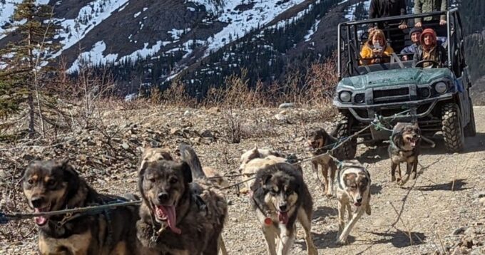 From Skagway: Yukon Sled Dog Mushing & White Pass Combo - Exploring the White Pass