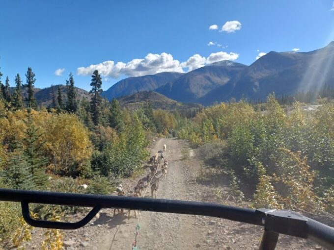 From Skagway: Yukon Sled Dog Mushing & White Pass Combo - Scenic Drives and Photo Opportunities