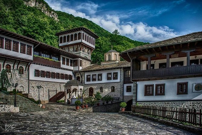 From Skopje Private Tour of National Park Mavrovo and Ohrid - Transportation and Accessibility