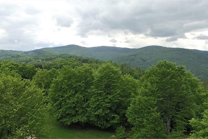 From Sofia: Serbia and Macedonia Trip - Tour Itinerary