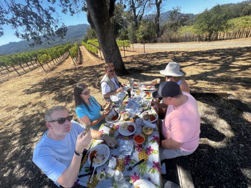 From Sonoma: Napa Valley Classic Sidecar Tour to 3 Wineries - Important Information