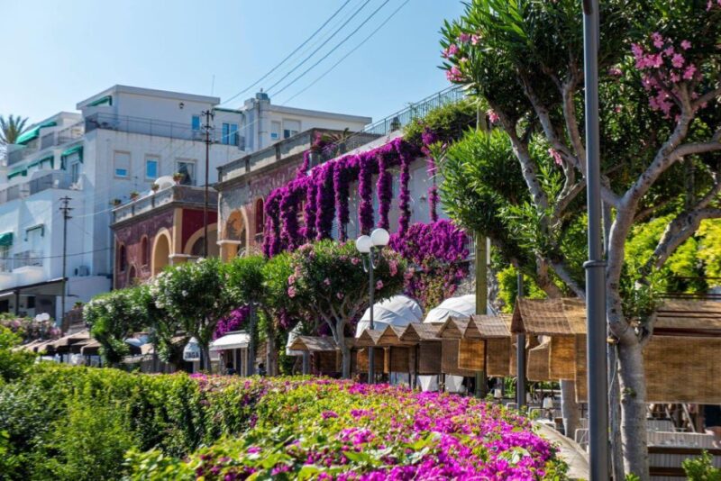 From Sorrento: Capri, Anacapri, & Blue Grotto Full-Day Trip - Exploring Anacapri