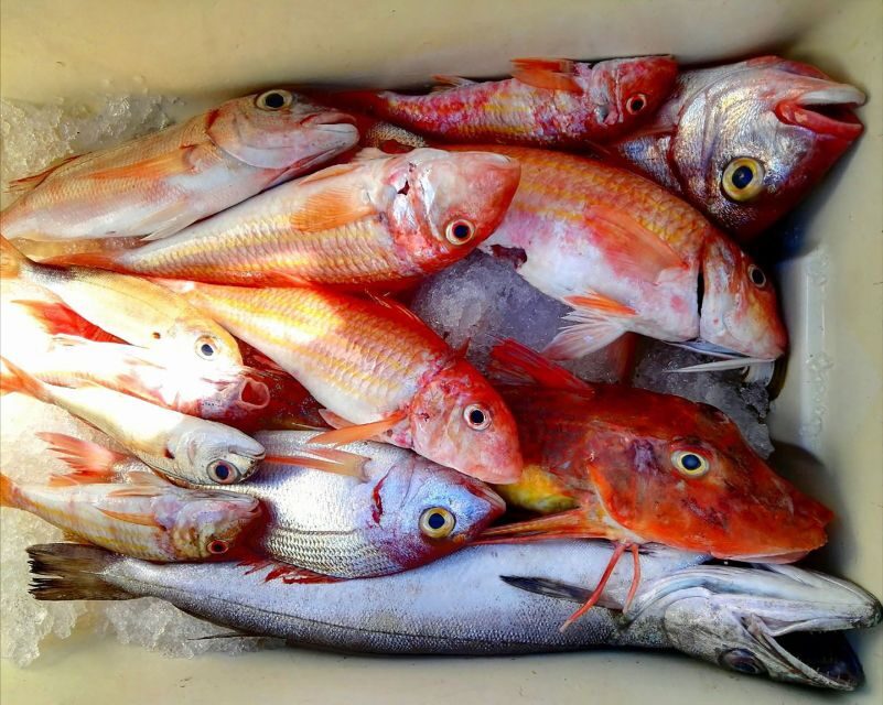 From Sorrento: Fishing in Capri With Lunch - Key Points