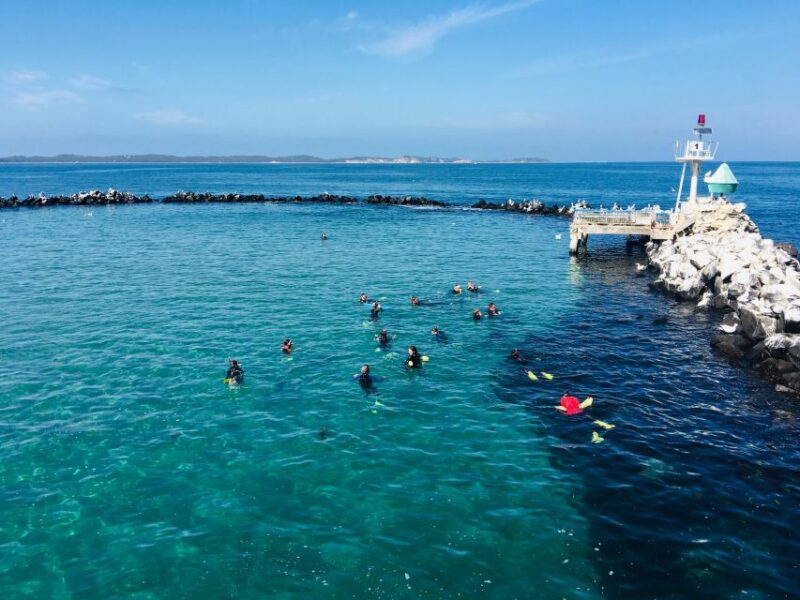 From Sorrento: Half-Day Cruise With Dolphins & Seals Snorkel - Meeting Point