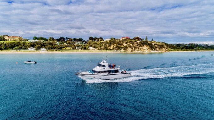 From Sorrento: Half-Day Cruise With Dolphins & Seals Snorkel - Snorkeling With Dolphins and Seals