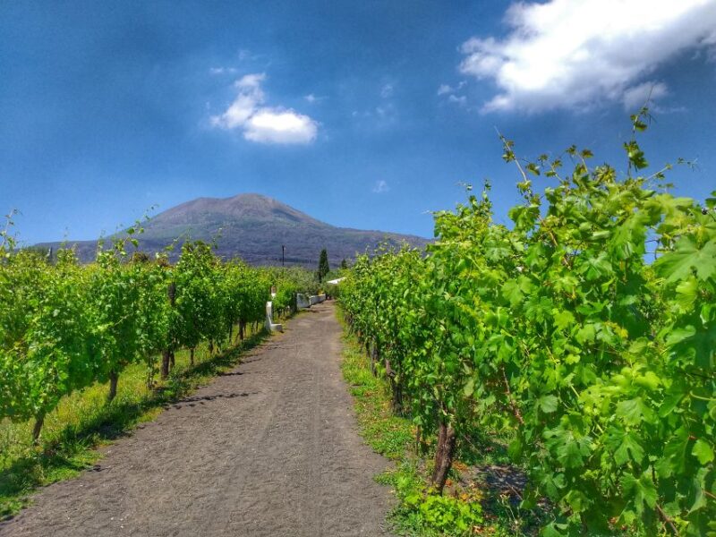 From Sorrento: Mount Vesuvius Tour With Lunch & Wine Tasting - Itinerary Details
