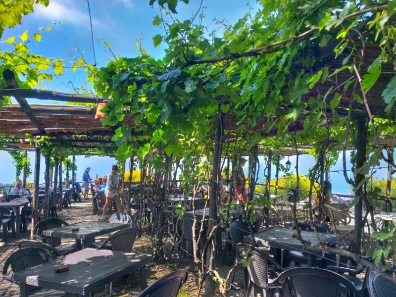From Sorrento: Mount Vesuvius Tour With Lunch & Wine Tasting - Frequently Asked Questions