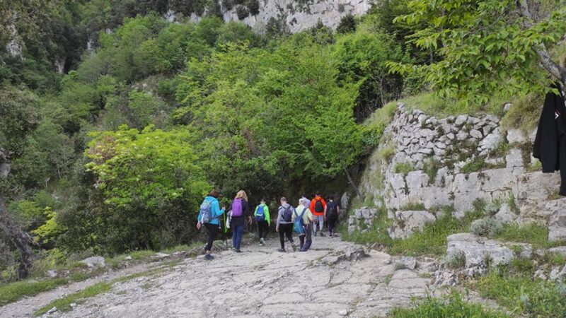 From Sorrento: Path of the Gods Hike With Tasting Stop - Important Information