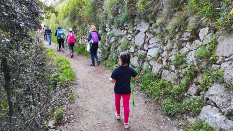 From Sorrento: Path of the Gods Hike With Tasting Stop - Customer Reviews and Ratings