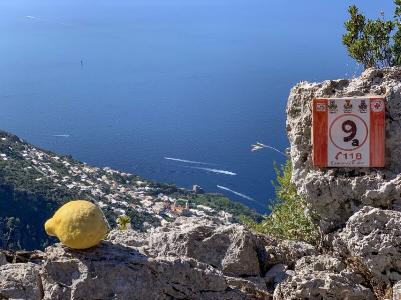 From Sorrento: Path of the Gods Hiking Experience - Highlights and Experience