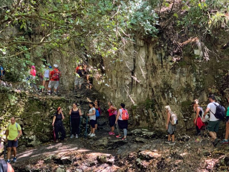 From Sorrento: Path of the Gods Hiking Experience - Included in the Experience